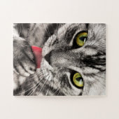 Graue Katze mit gelben Augen leckende Paste Puzzle (Horizontal)