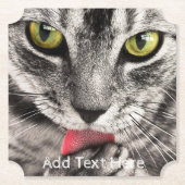 Graue Katze mit gelben Augen leckende Paste Untersetzer (Vorderseite)