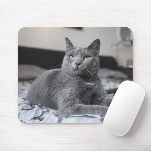 Graue Katze mit grüne Augen-Mäusematte Mousepad (Mit Mouse)