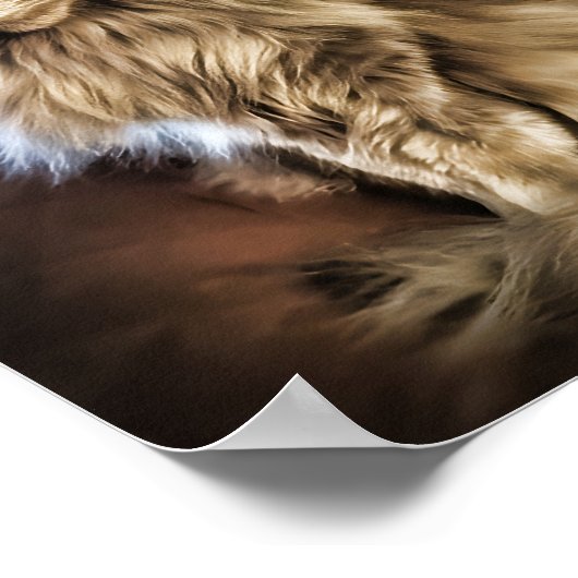 Graue Katze mit grünen Augen Poster (Ecke)