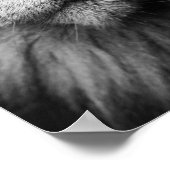 Graue Katze mit hellgrünen Augen Poster (Ecke)