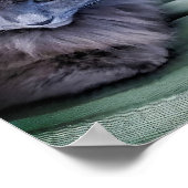 Graue Katze mit Hübschen grünen Augen Poster (Ecke)