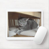 Graue Katze/Russisch Blau Mousepad (Mit Mouse)