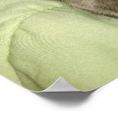 Graue Katze Schlafen in einer grünen Lücke Poster (Ecke)