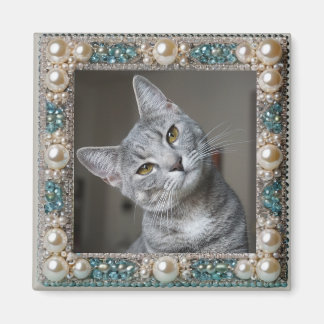 Graue Katze Tier-Erinnerungsanker Magnet