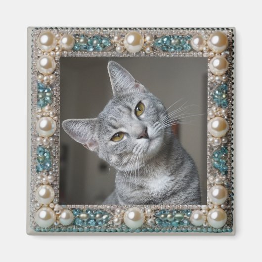 Graue Katze Tier-Erinnerungsanker Magnet (Vorne)