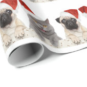 Graue Katze und chinesischer Geschenkpapier (Rolleneckpunkt)