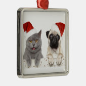 Graue Katze und chinesischer Ornament Aus Metall (Rechts)