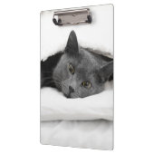 Graue Katze unter weißer Decke Klemmbrett (Links)