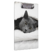 Graue Katze unter weißer Decke Klemmbrett (Rechts)