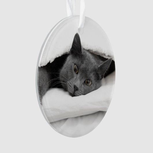 Graue Katze unter weißer Decke Ornament (Vorderseite)