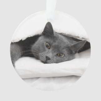 Graue Katze unter weißer Decke Ornament