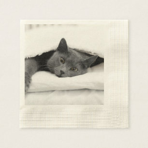 Graue Katze unter weißer Decke Serviette