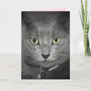 Graue Katze zum Geburtstag Humor Karte