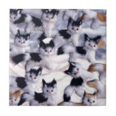 graue Katzen Fliese (Vorderseite)