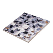 graue Katzen Fliese (Seite)