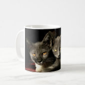 Graue Katzen Foto Tasse (Vorderseite Links)