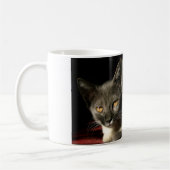 Graue Katzen Foto Tasse (Links)