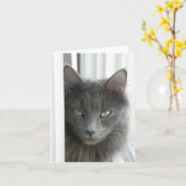 Graue Katzen-Karte Karte (Gelbe Blume)