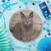 Graue Katzen Pappteller (Party)