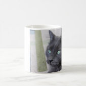 Graue Katzen-Tasse Kaffeetasse (Mittel)