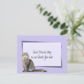 Graue Katzen - Verlust aus der Tiermedizin Postkarte (Stehend Vorderseite)