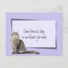 Graue Katzen - Verlust aus der Tiermedizin Postkarte