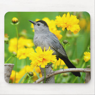 Graue Katzendrossel auf Holzzaun Mousepad