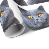 Graue Katzengelbe Augen Geschenkpapier (Rolleneckpunkt)