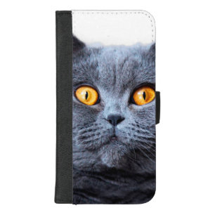Graue Katzengelbe Augen iPhone 8/7 Plus Geldbeutel-Hülle