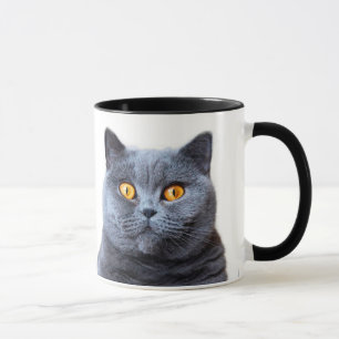 Graue Katzengelbe Augen Tasse