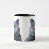 Graue Katzengelbe Augen Tasse (Zentrum)