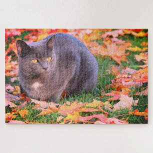 Graue Kitty-Katze Puzzle