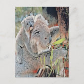Graue Koala-Bären Postkarte (Vorderseite)