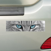Graue lange Haar-Katzen-blaues grüne Autoaufkleber (Auf Auto)
