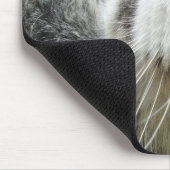 Graue Maine-Waschbär-Katze Mousepad (Ecke)