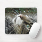 Graue Maine-Waschbär-Katze Mousepad (Mit Mouse)