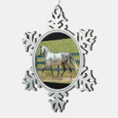 Graue Mangalarga Stallions-Weihnachtsverzierung Schneeflocken Zinn-Ornament (Rechts)