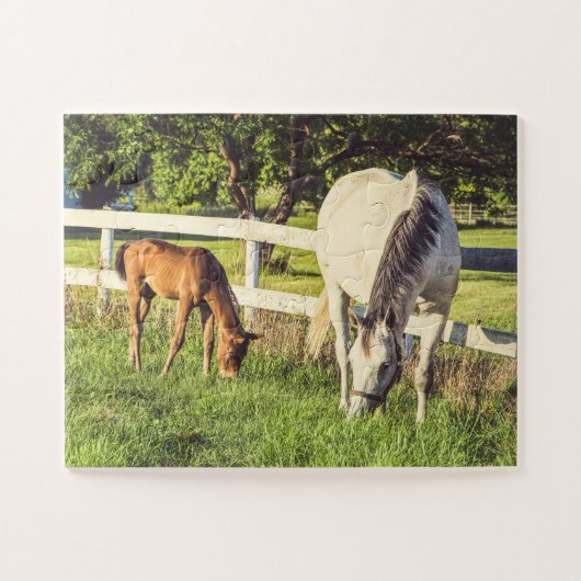 Graue Mare & Foal Pferde Oversifiziert Puzzle (Horizontal)