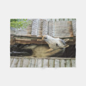 Graue Mare und Stallpferde Fleecedecke (Vorderseite (Horizontal))