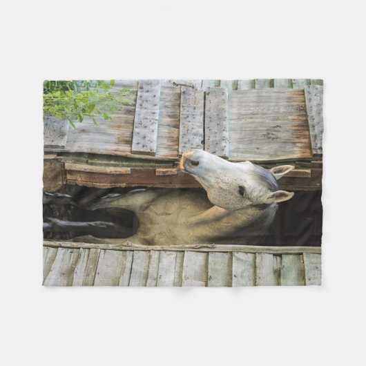 Graue Mare und Stallpferde Fleecedecke (Vorderseite (Horizontal))