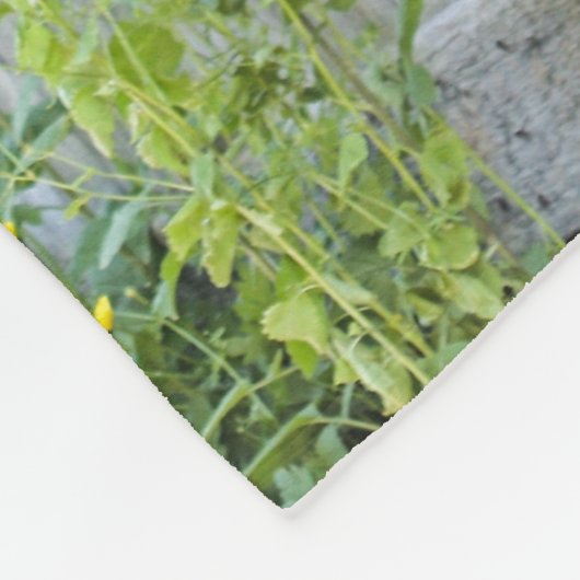 Graue Mare und Stallpferde Fleecedecke (Ecke)