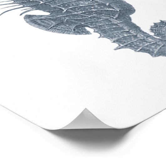 Graue Meereswelt Gruppe 12A Print #5 Seepferd Poster (Ecke)