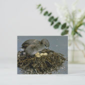 Graue mit Nest Postkarte (Stehend Vorderseite)