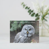 Graue Owl Welcome Students Custom Postcard Postkarte (Stehend Vorderseite)