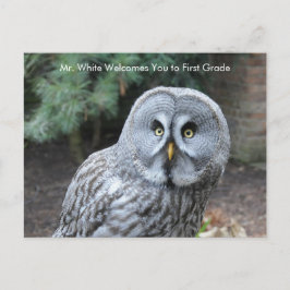 Graue Owl Welcome Students Custom Postcard Postkarte