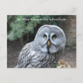 Graue Owl Welcome Students Custom Postcard Postkarte (Vorderseite)