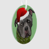 Graue Paint Pit Bull Weihnachtsmannmütze Ornament (Vorderseite)