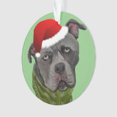 Graue Paint Pit Bull Weihnachtsmannmütze Ornament (Vorderseite)