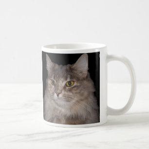 Graue Pelzkatze auf Kaffeetasse